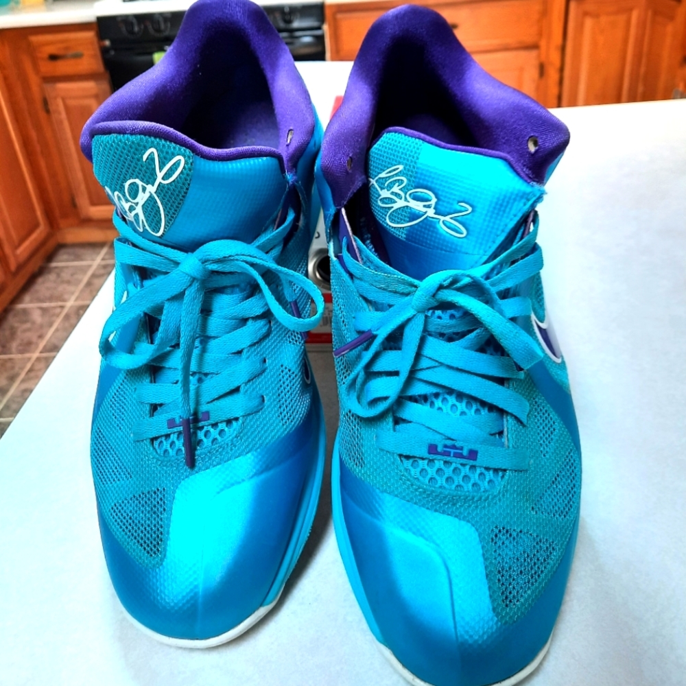 Lebron 9 Summit Lake Hornets